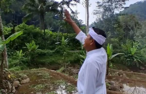 Hutan Jabar Sisa 20 Persen, Dedi Mulyadi Siap Gaji Warga Rp 50 Ribu Per Hari untuk Tanam Pohon