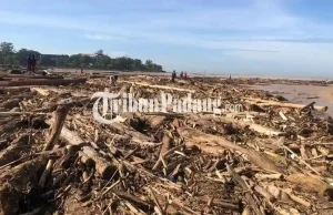 Kenapa Pemerintah Belum Tetapkan Banjir Sumatra Jadi Bencana Nasional? Ini Penjelasan BNPB